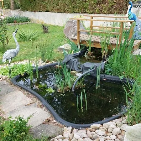 Chez Madgi Et Jean-mi Froncles